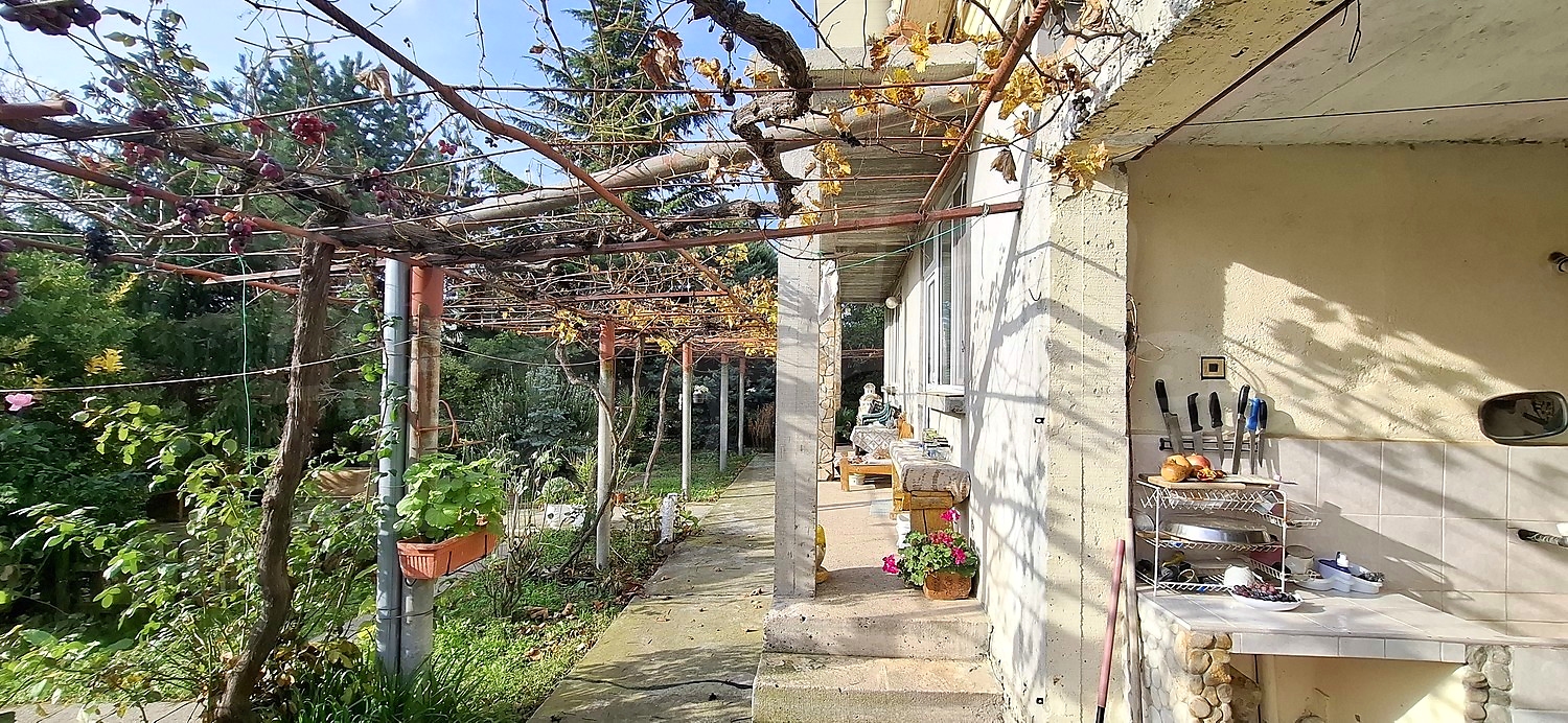 outside, garden