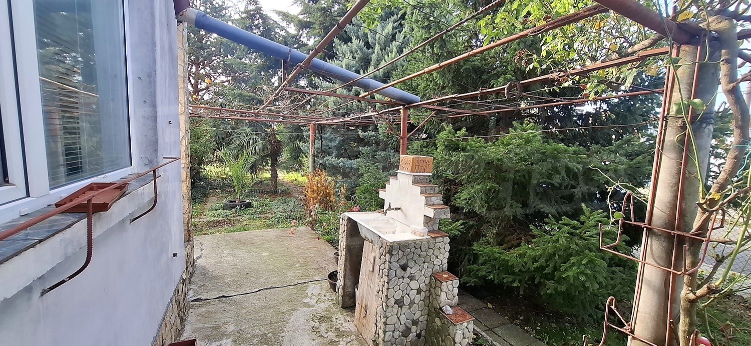 outside, garden