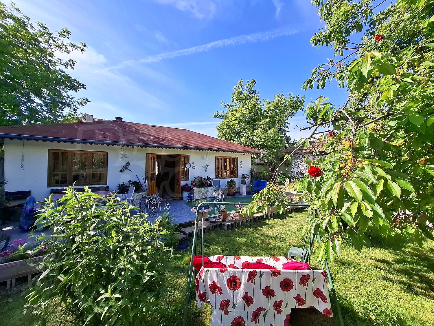 outside, garden