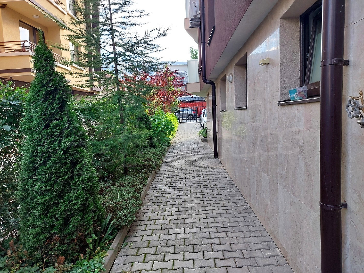 outside, garden