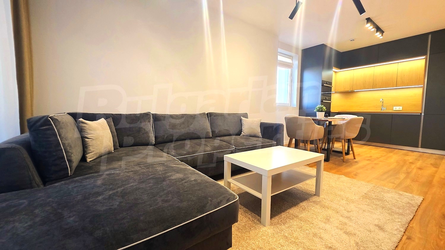 inside, living room, kitchen, furnished
