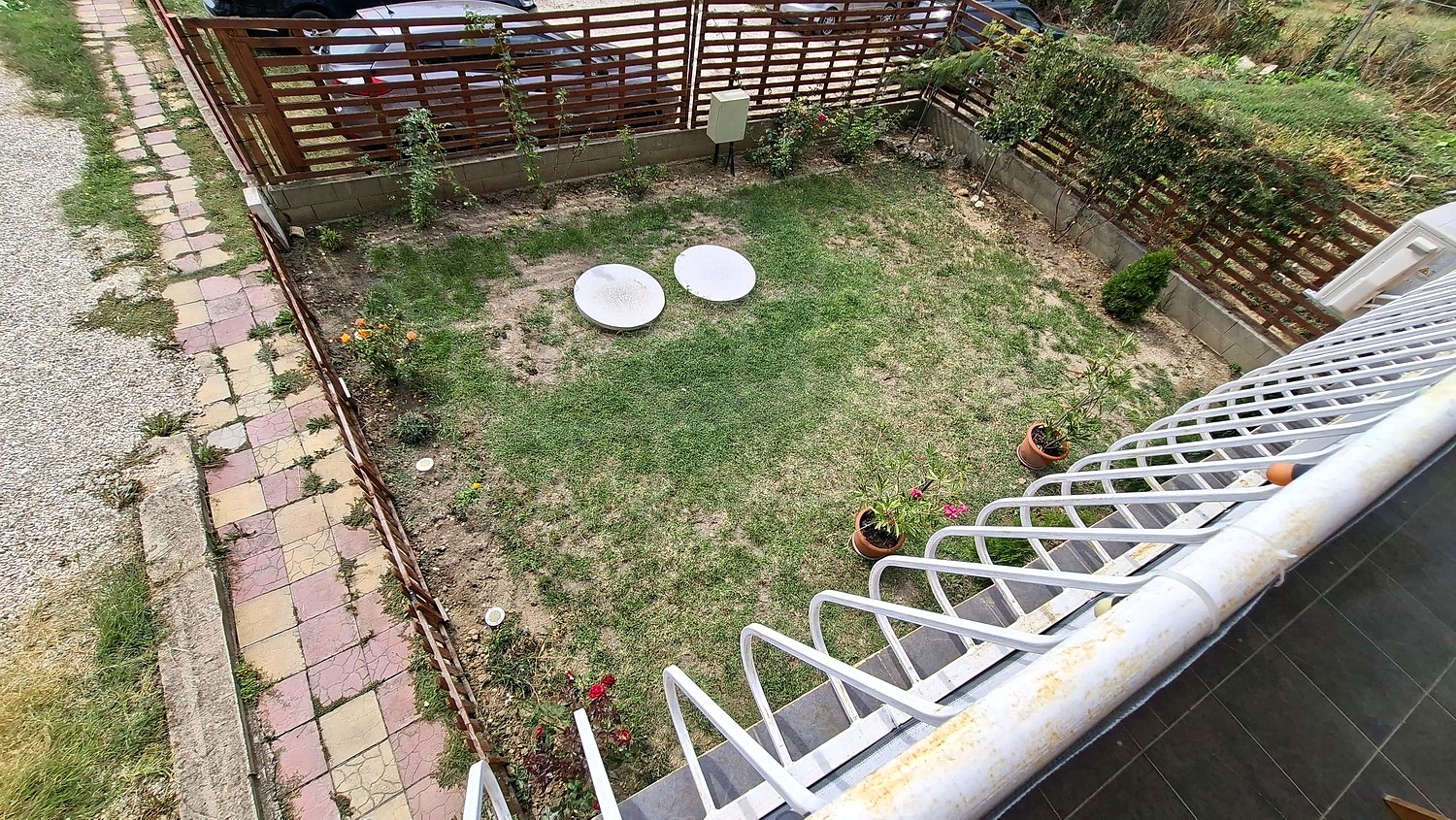 garden, outside