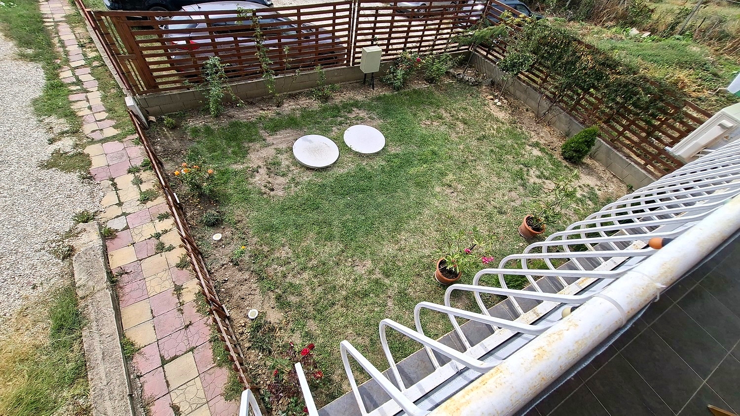 garden, outside
