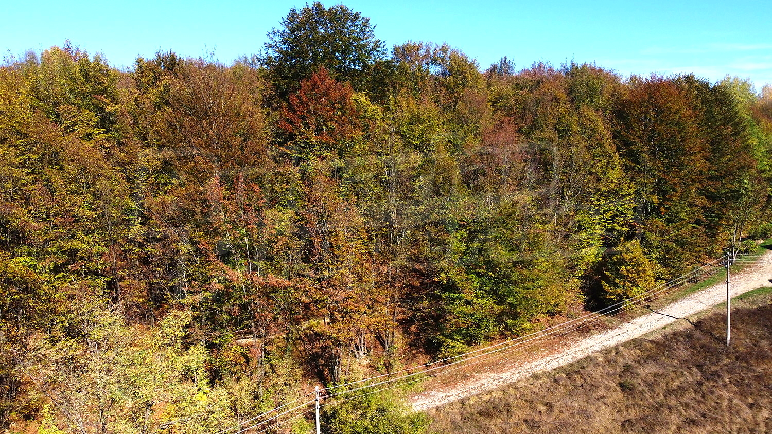 outside, green area