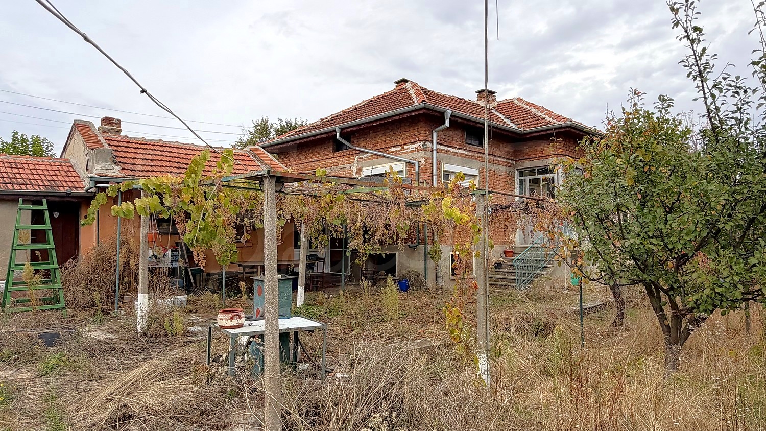 outside, facade, garden
