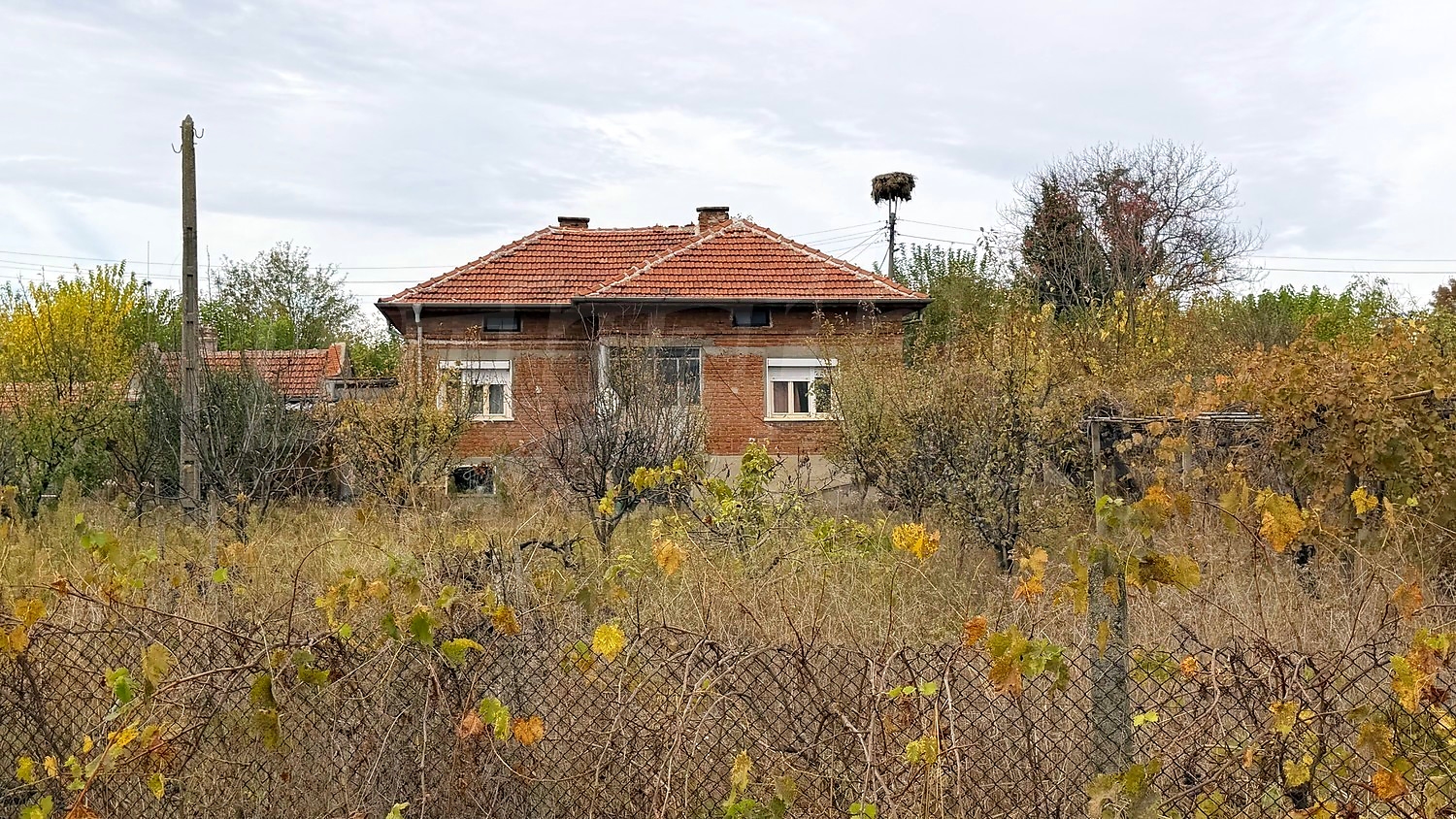 facade, garden, outside