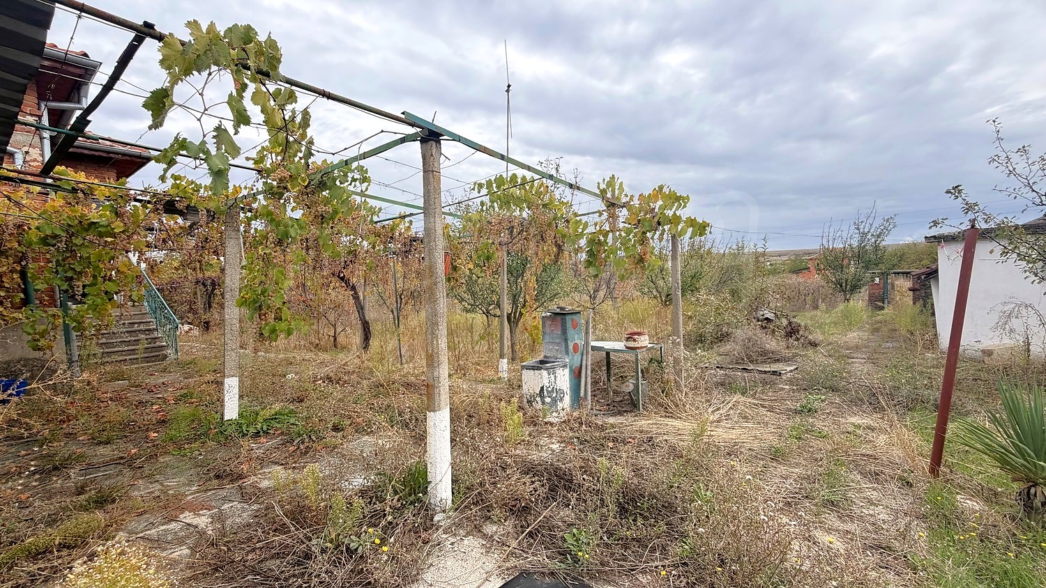 outside, garden