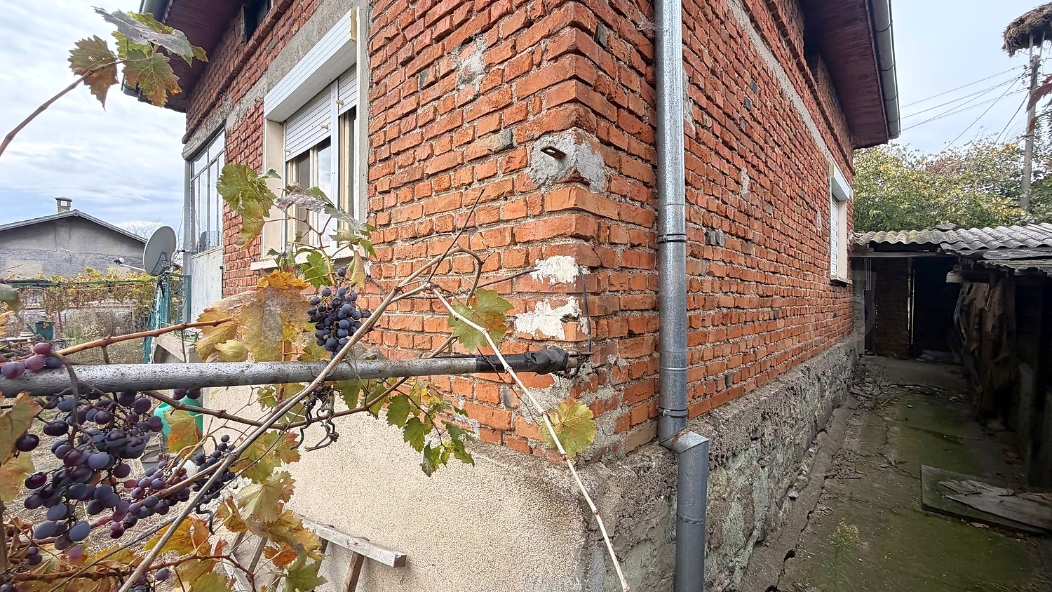 facade, garden, outside