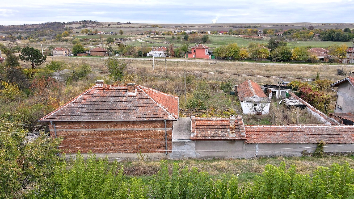 outside, garden, green area