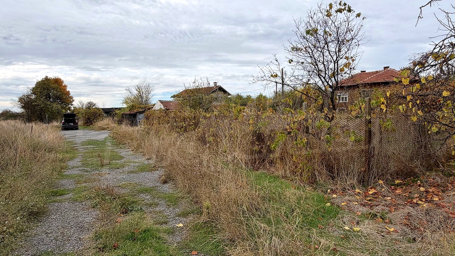 outside, facade, garden, green area