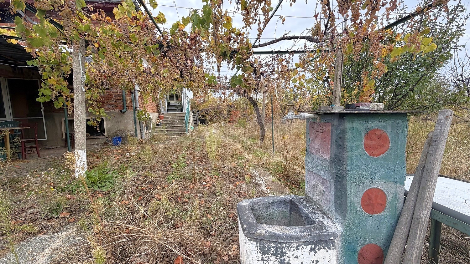 outside, garden