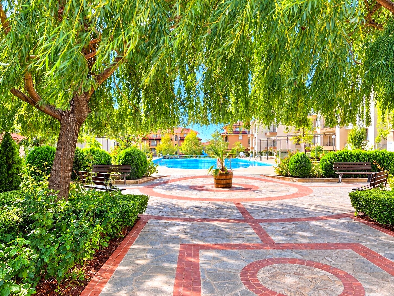 outside, garden, pool, green area