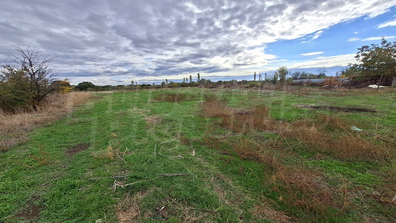 outside, green area