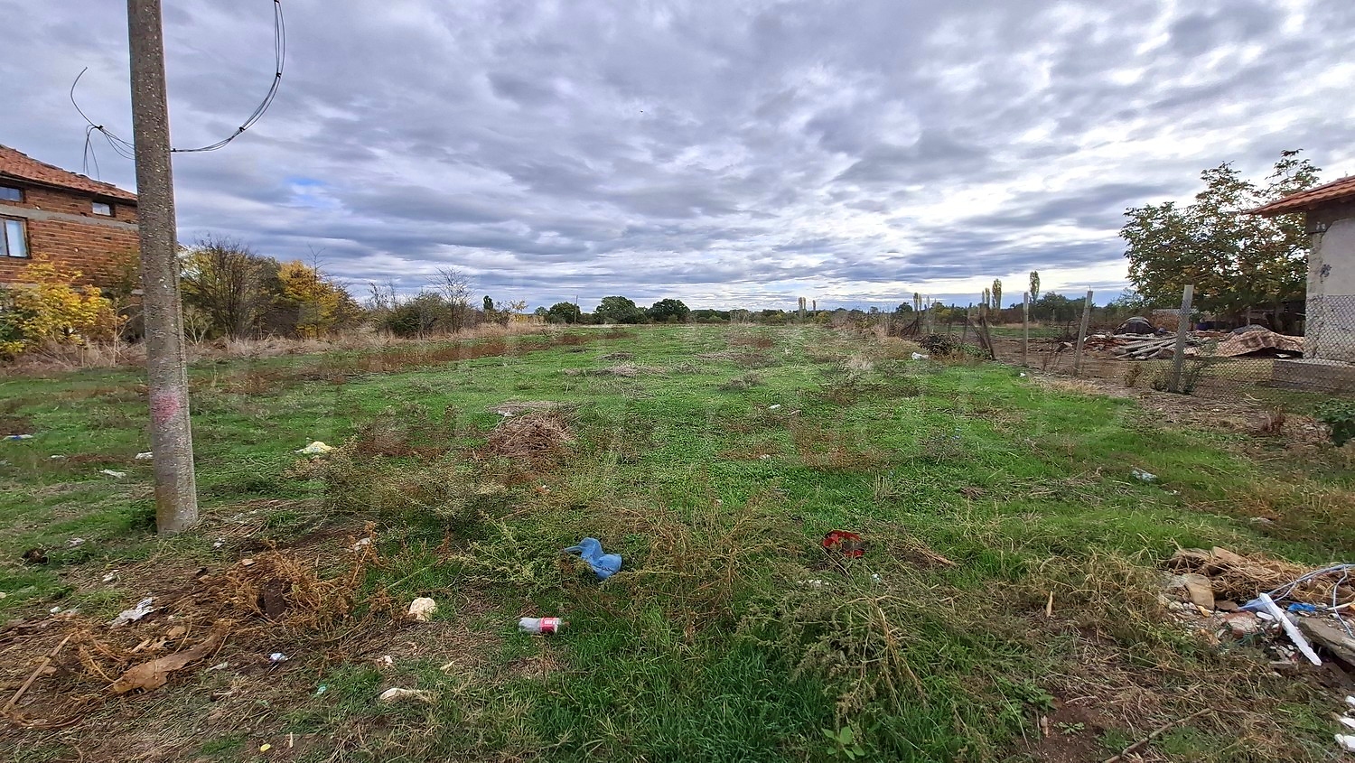 outside, green area