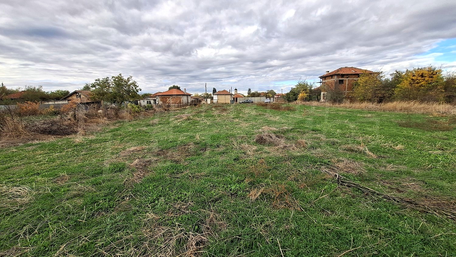 outside, green area, garden
