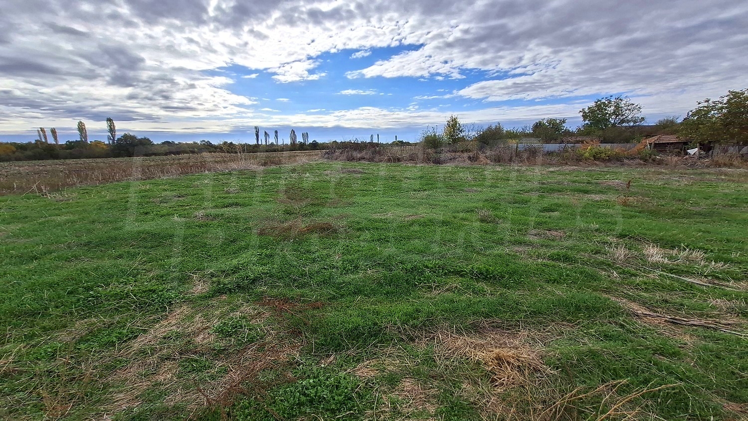 outside, green area