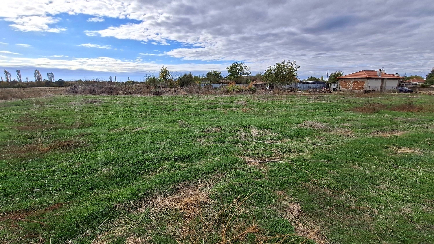 outside, green area