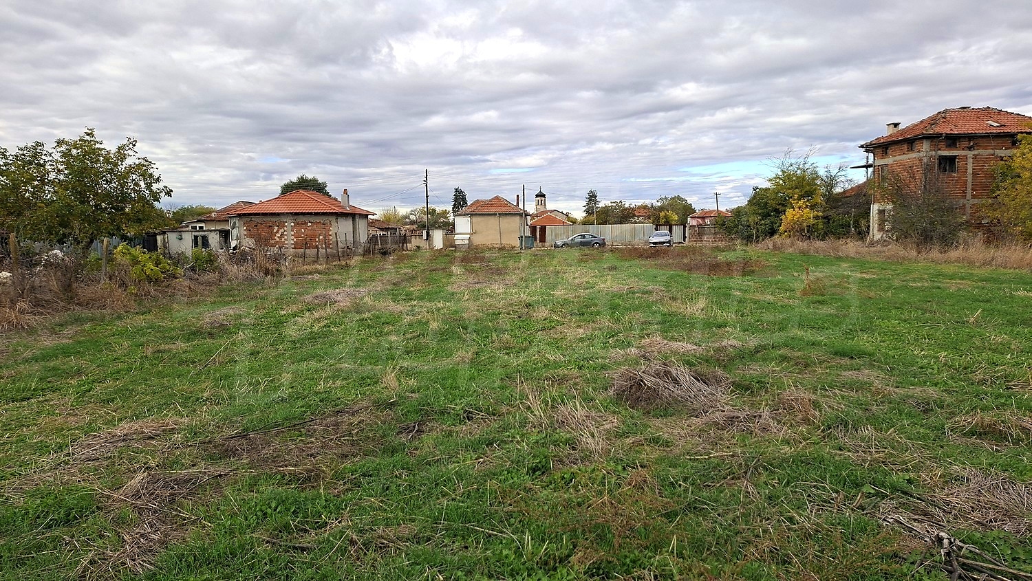 outside, green area, garden