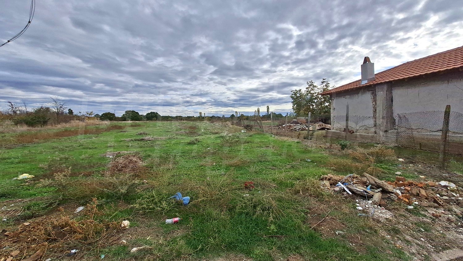 outside, green area