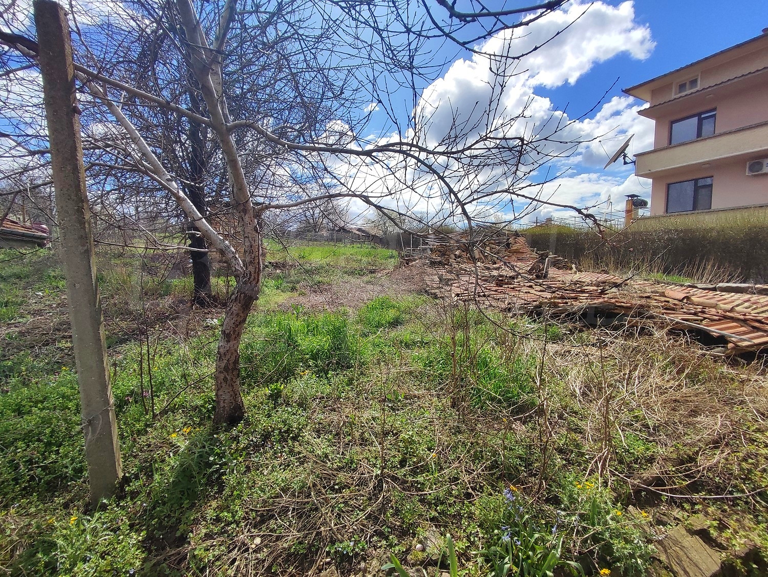 outside, garden, facade, green area