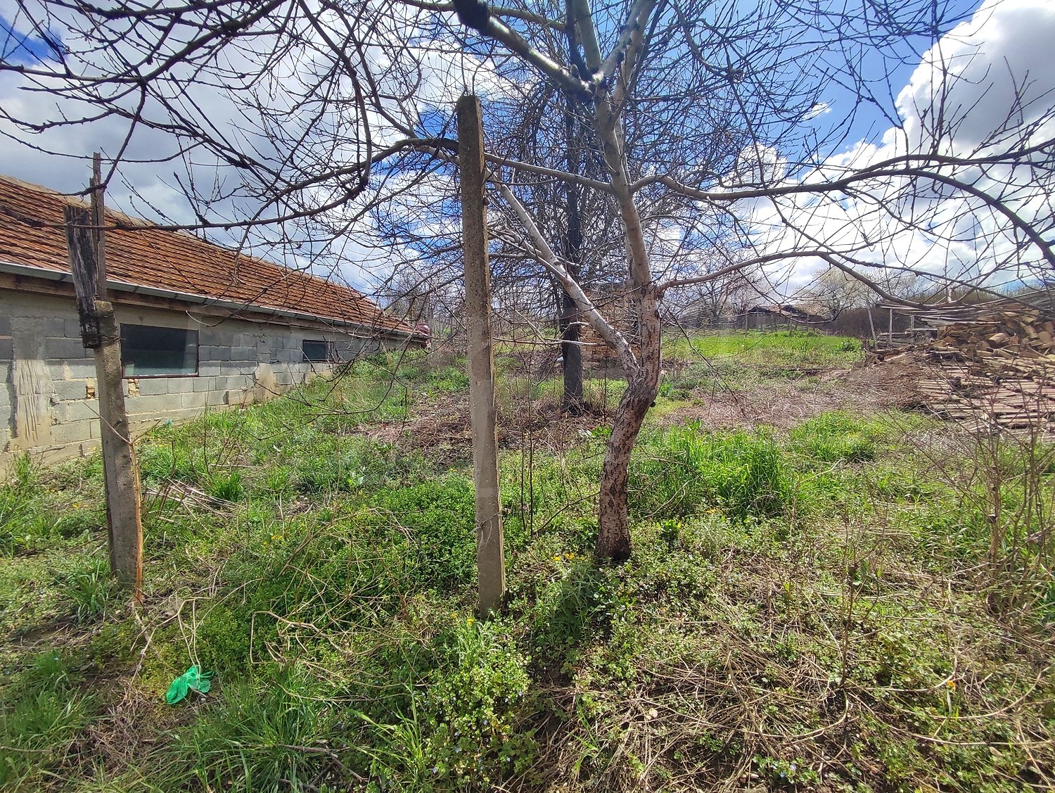 outside, garden, green area