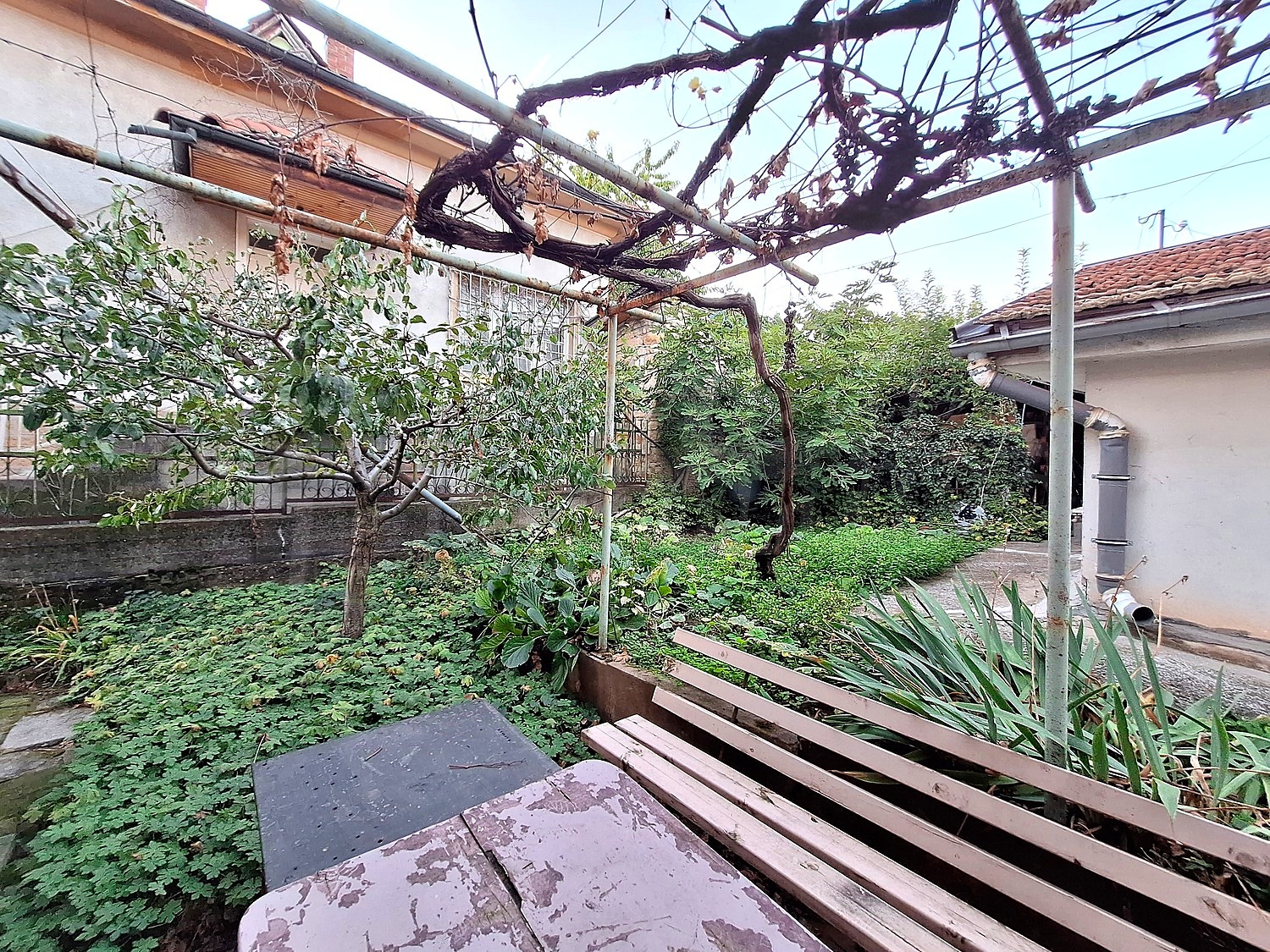 outside, garden