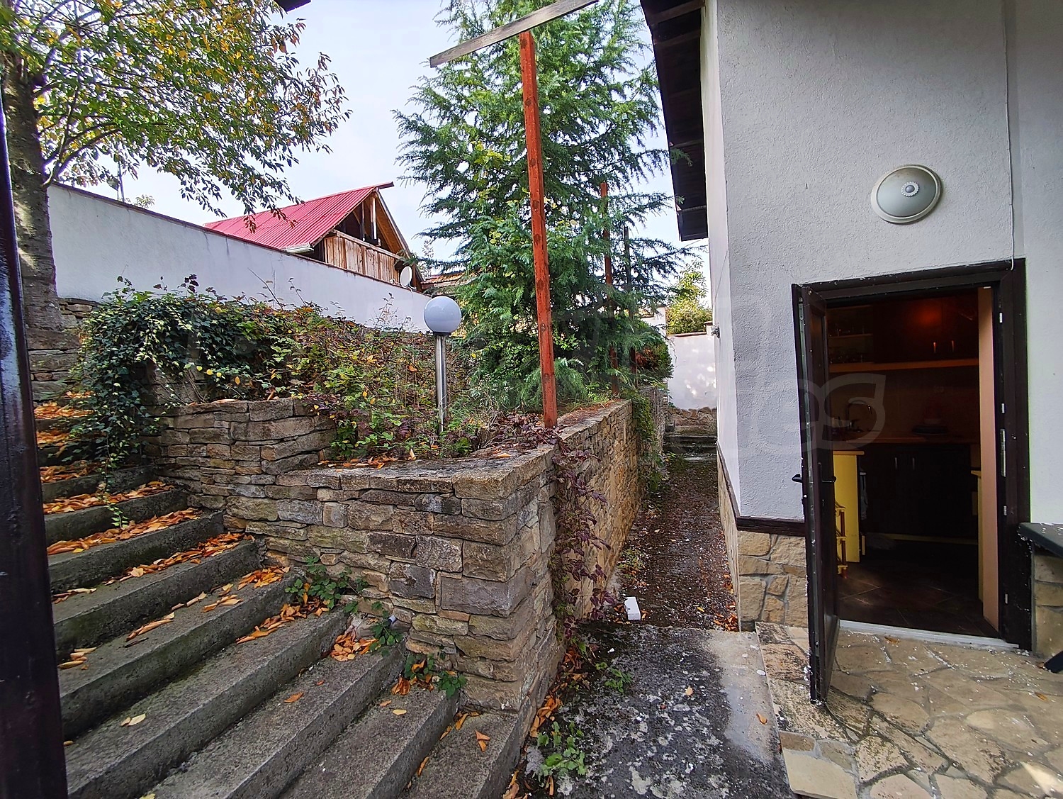 outside, garden