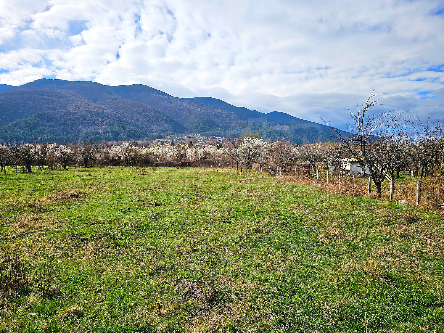 outside, mountain, green area