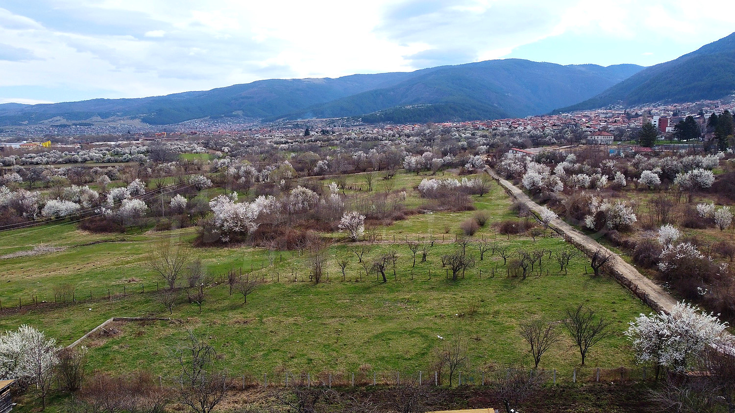 outside, mountain, green area