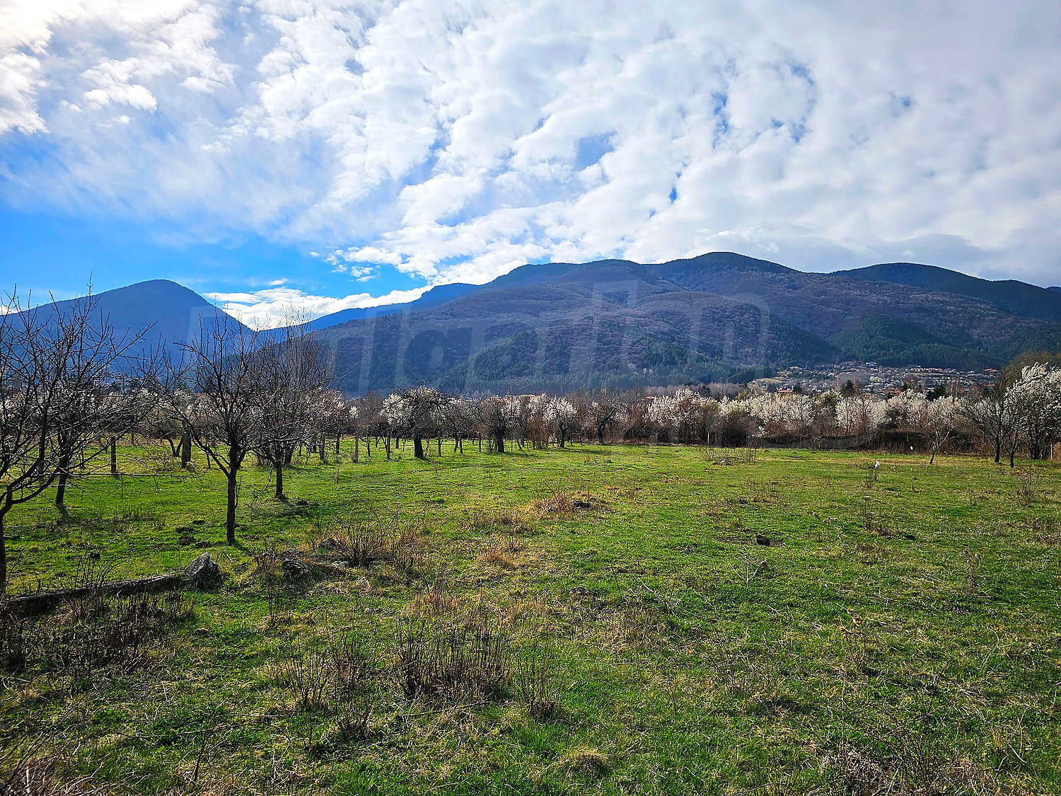 outside, mountain, green area