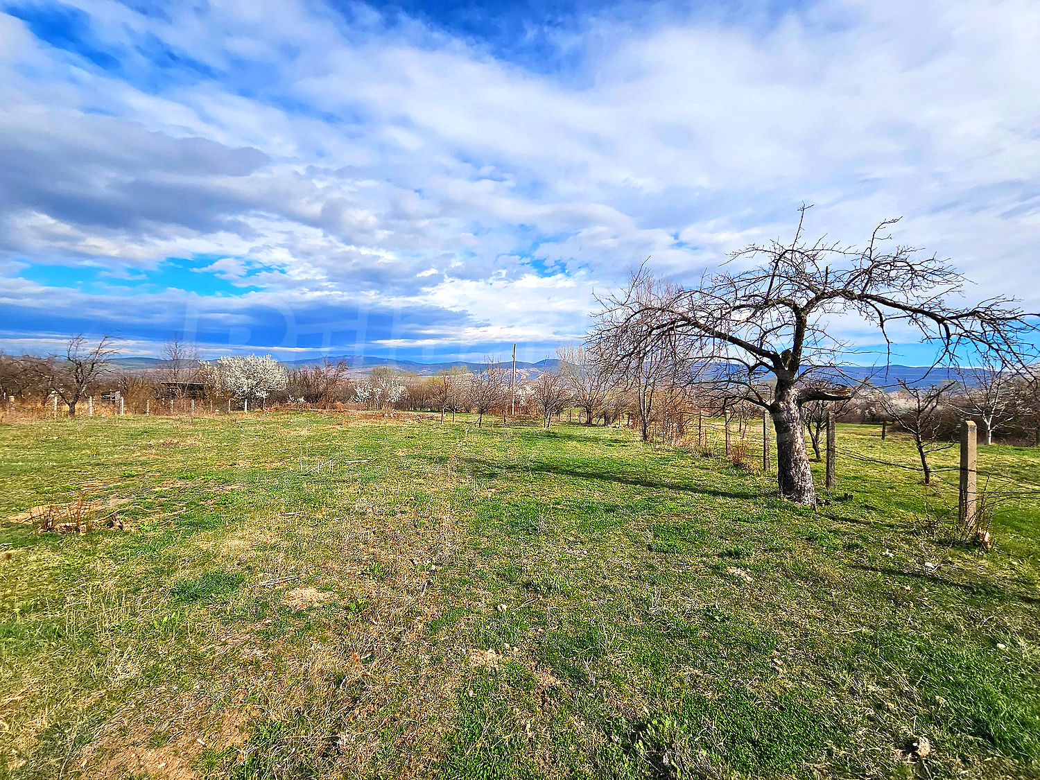 outside, garden, mountain, green area