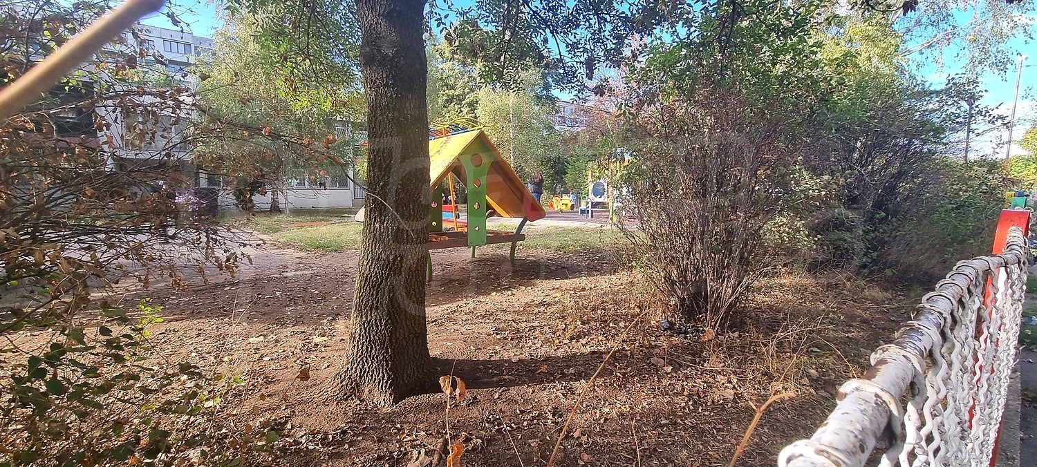 outside, garden