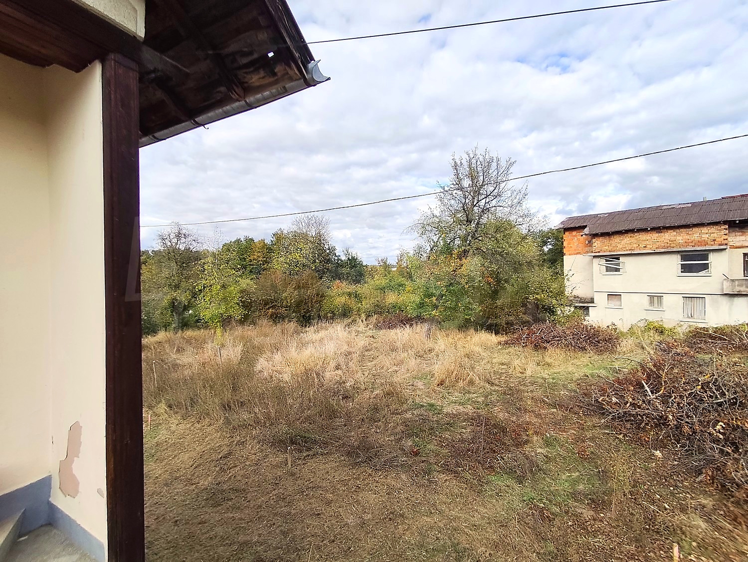 outside, garden