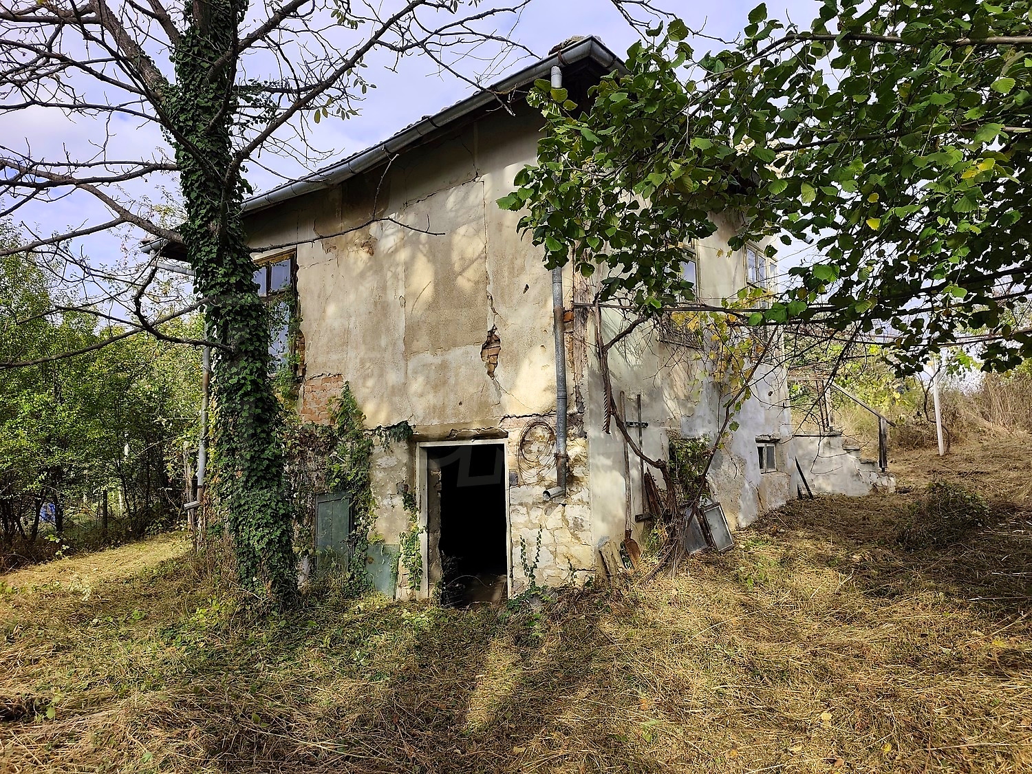 outside, facade, garden, green area