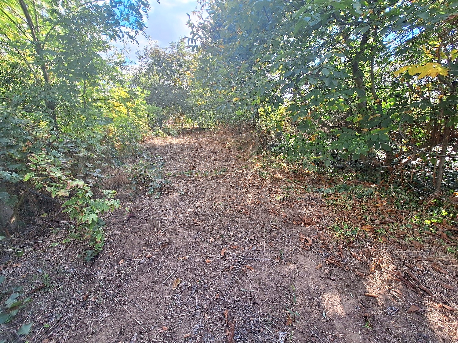 outside, garden