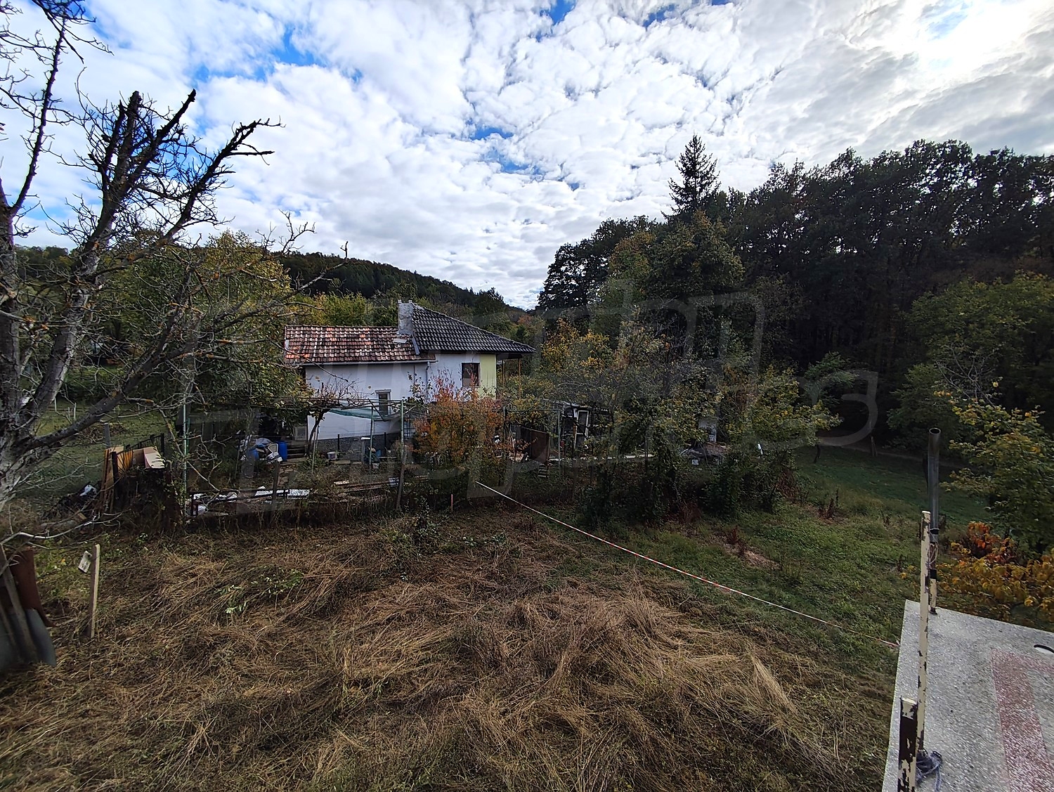 outside, garden, green area