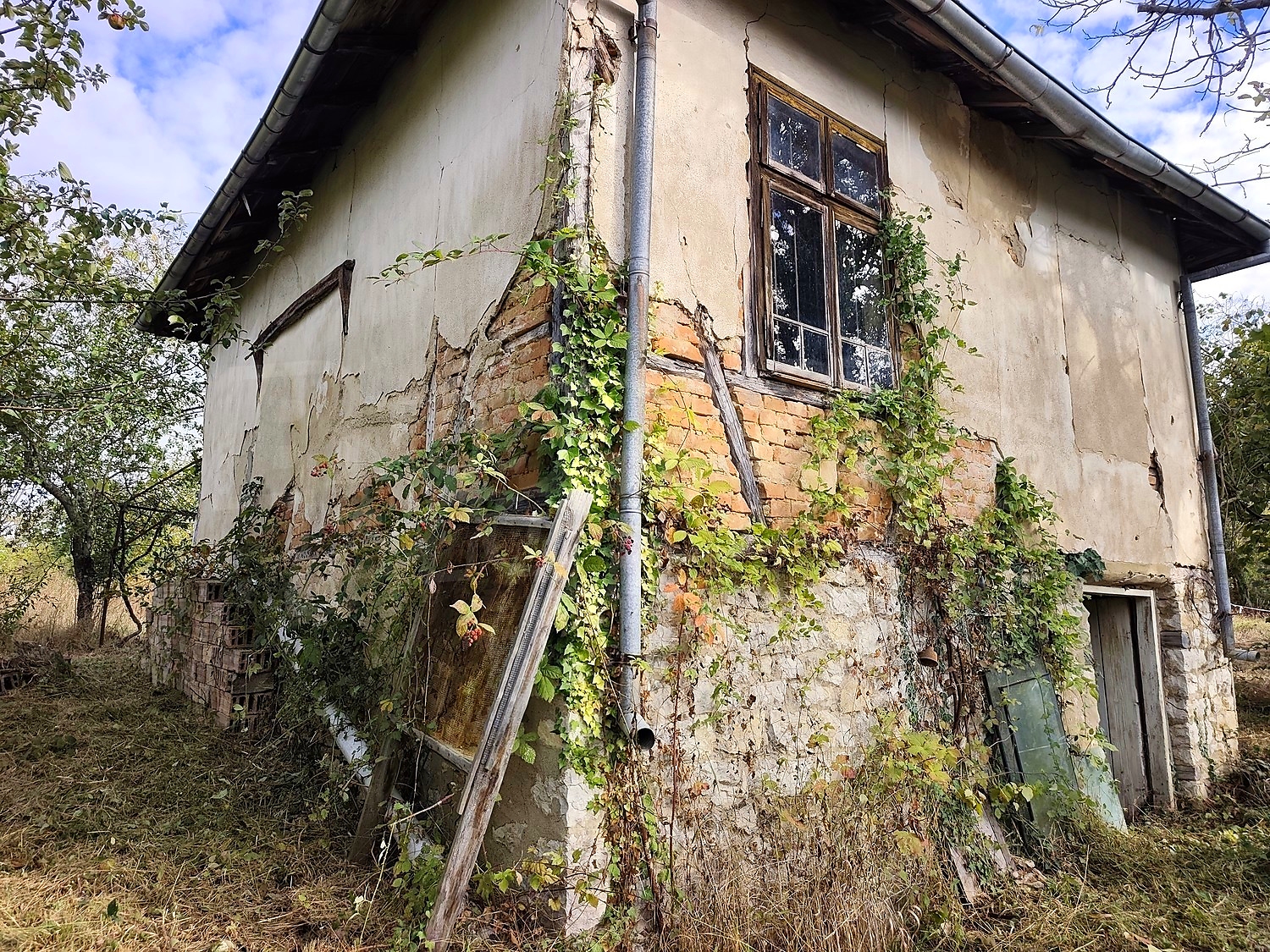 outside, facade, garden