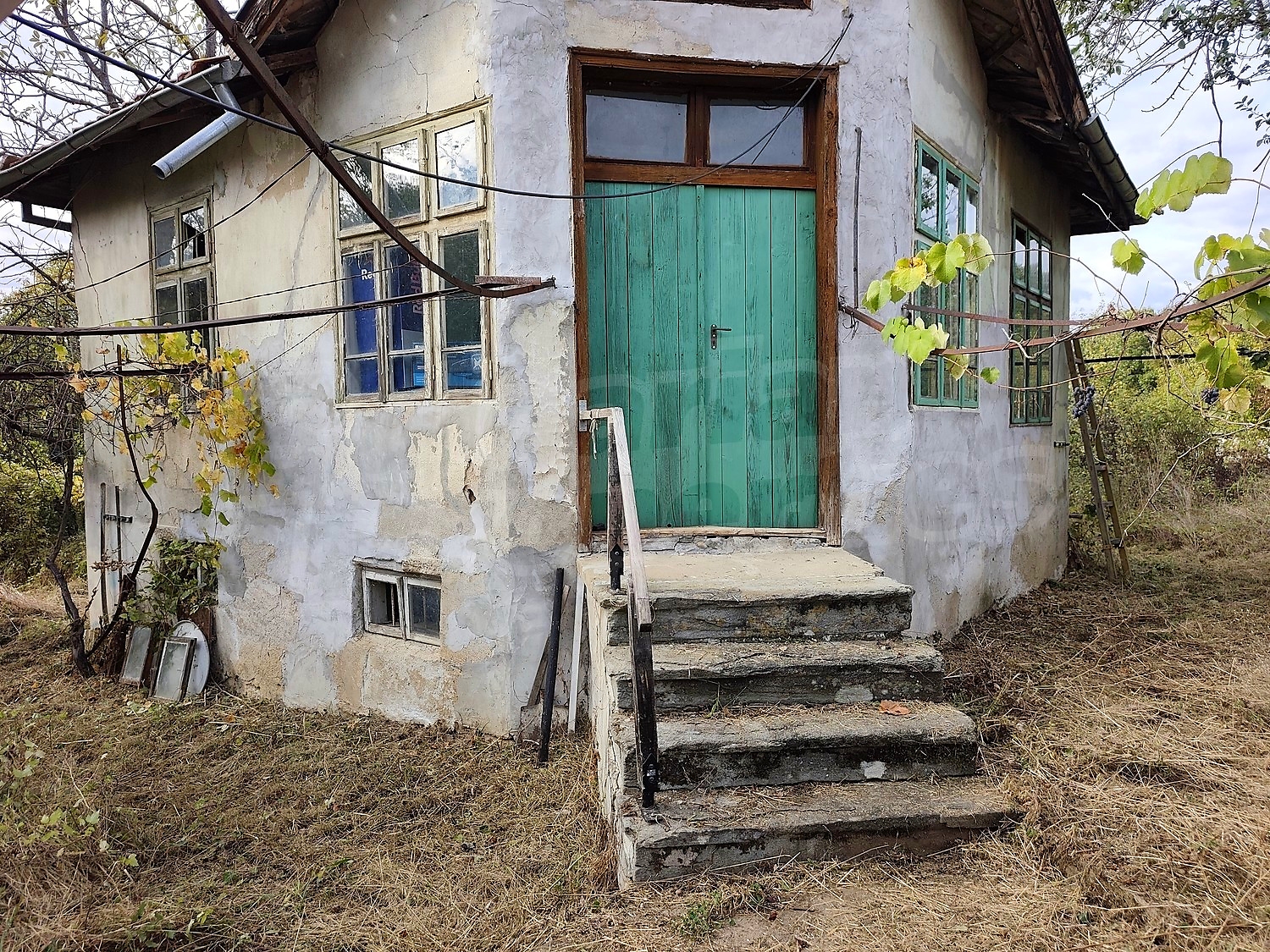 facade, garden
