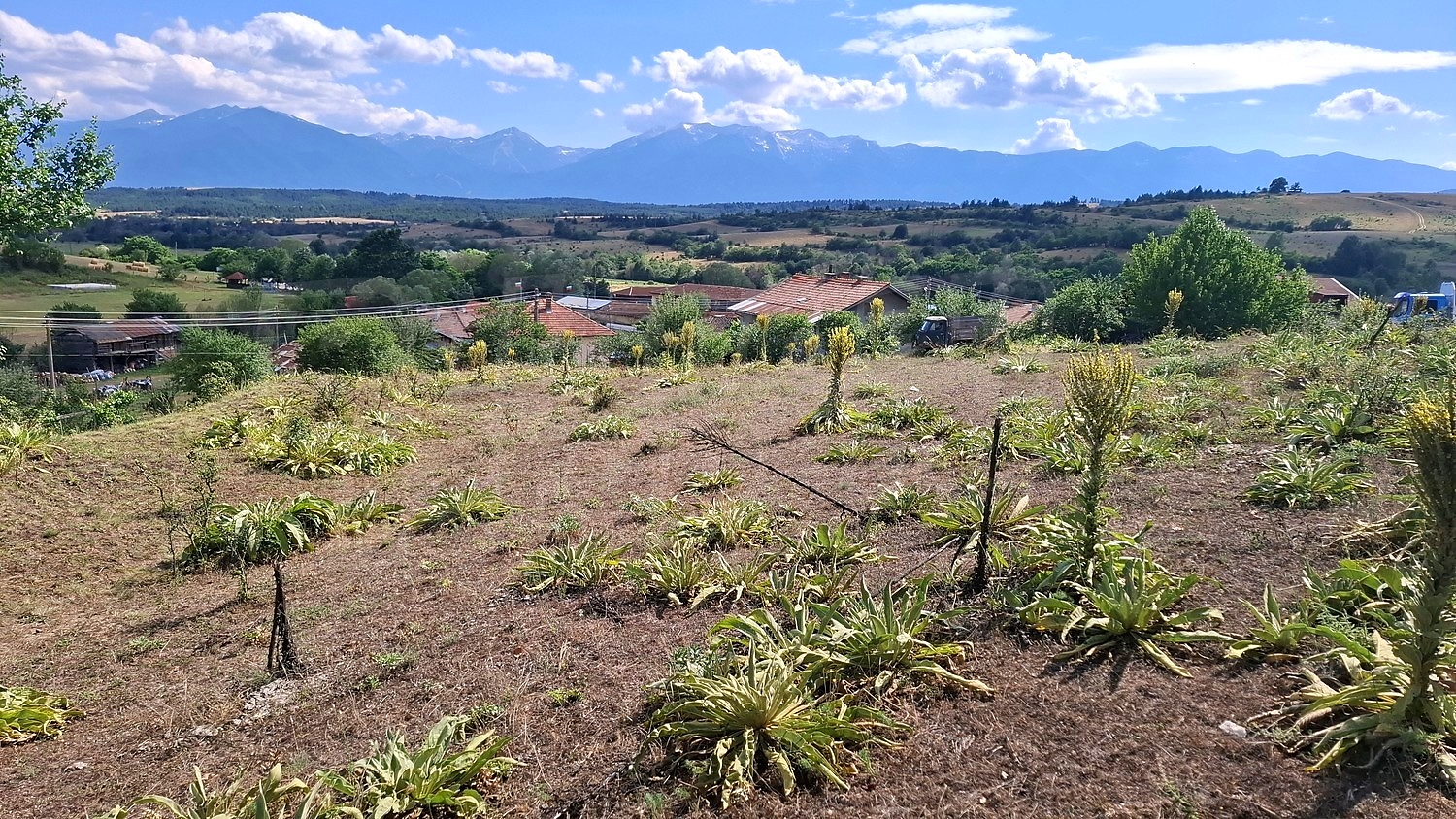 outside, mountain, green area