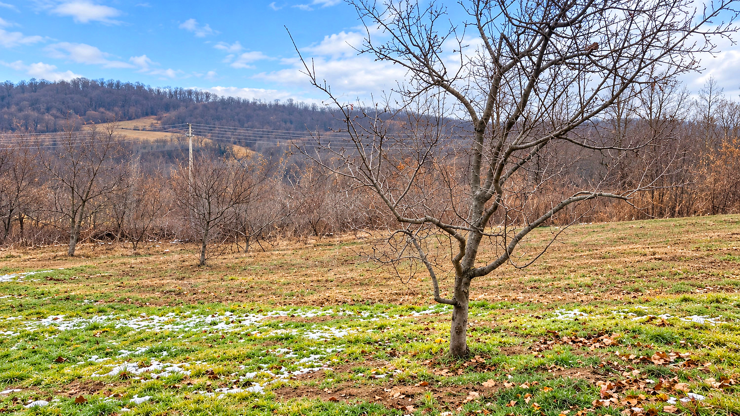 outside, mountain, green area
