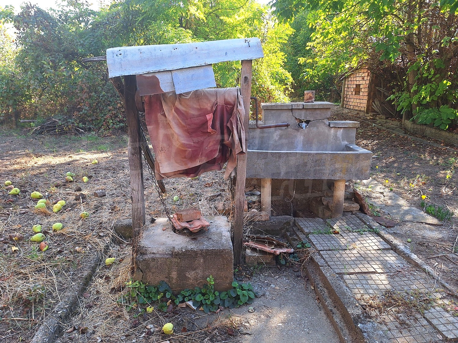 outside, garden