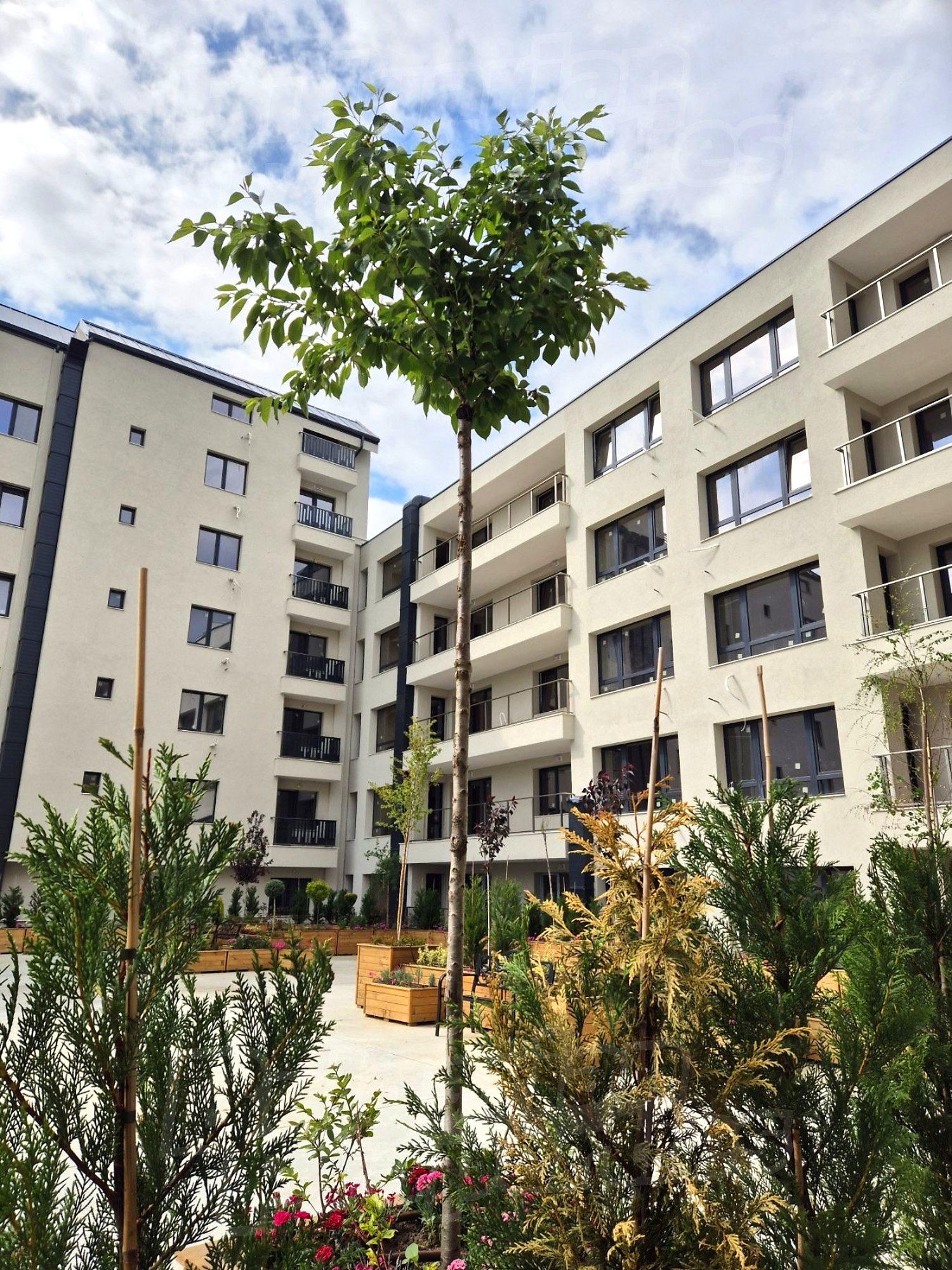 facade, garden, outside