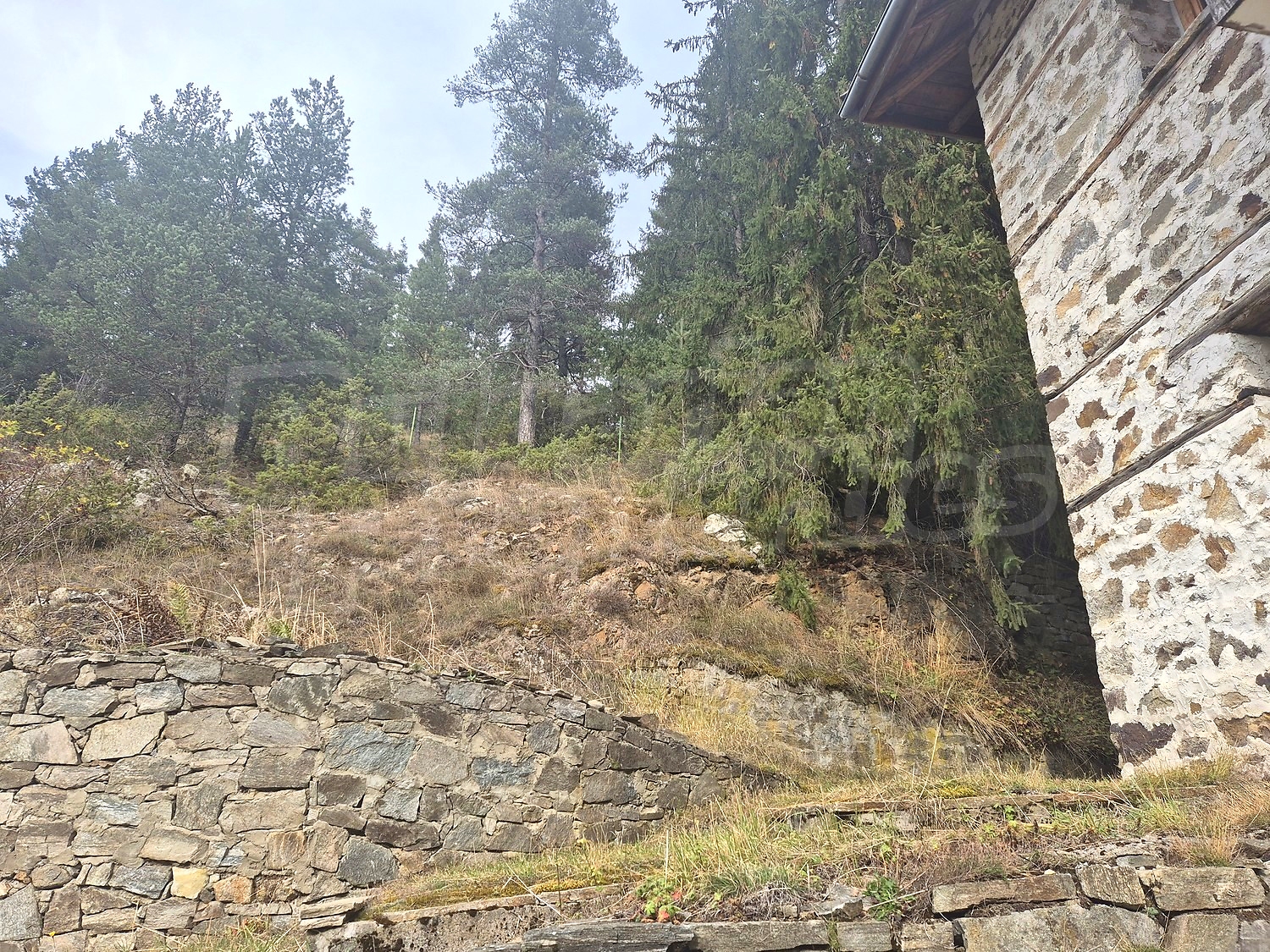 outside, mountain, facade, green area