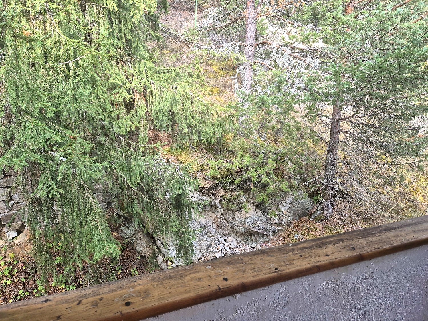 balcony, outside, green area