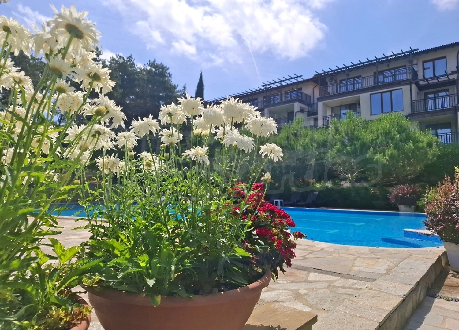 outside, pool, garden
