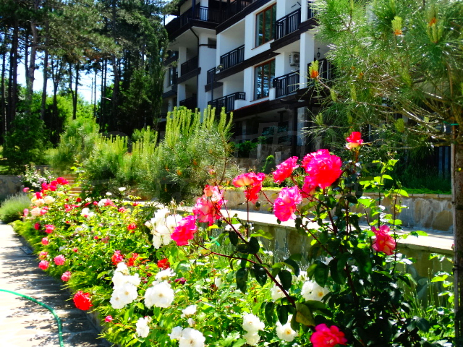 outside, facade, garden, green area