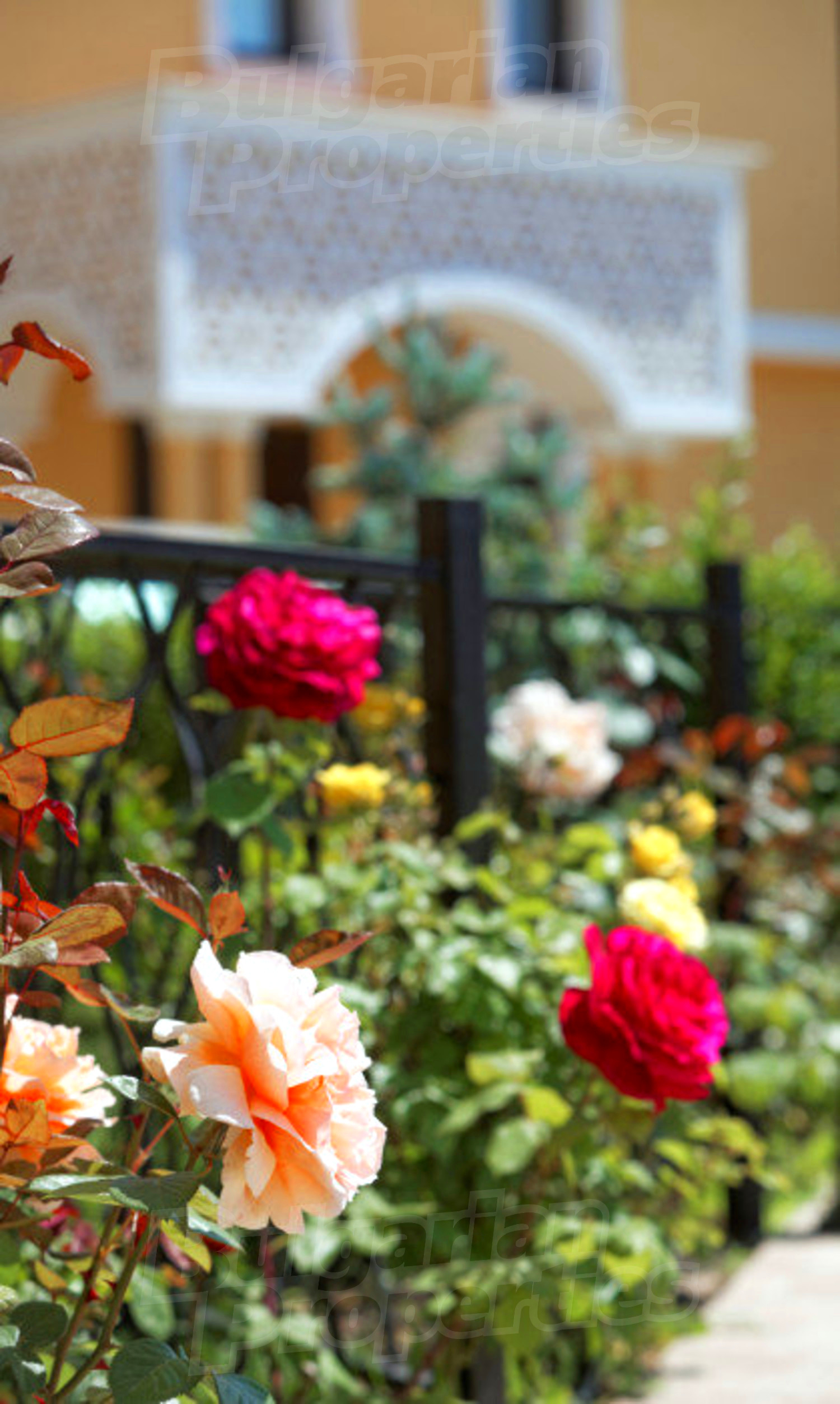 outside, garden
