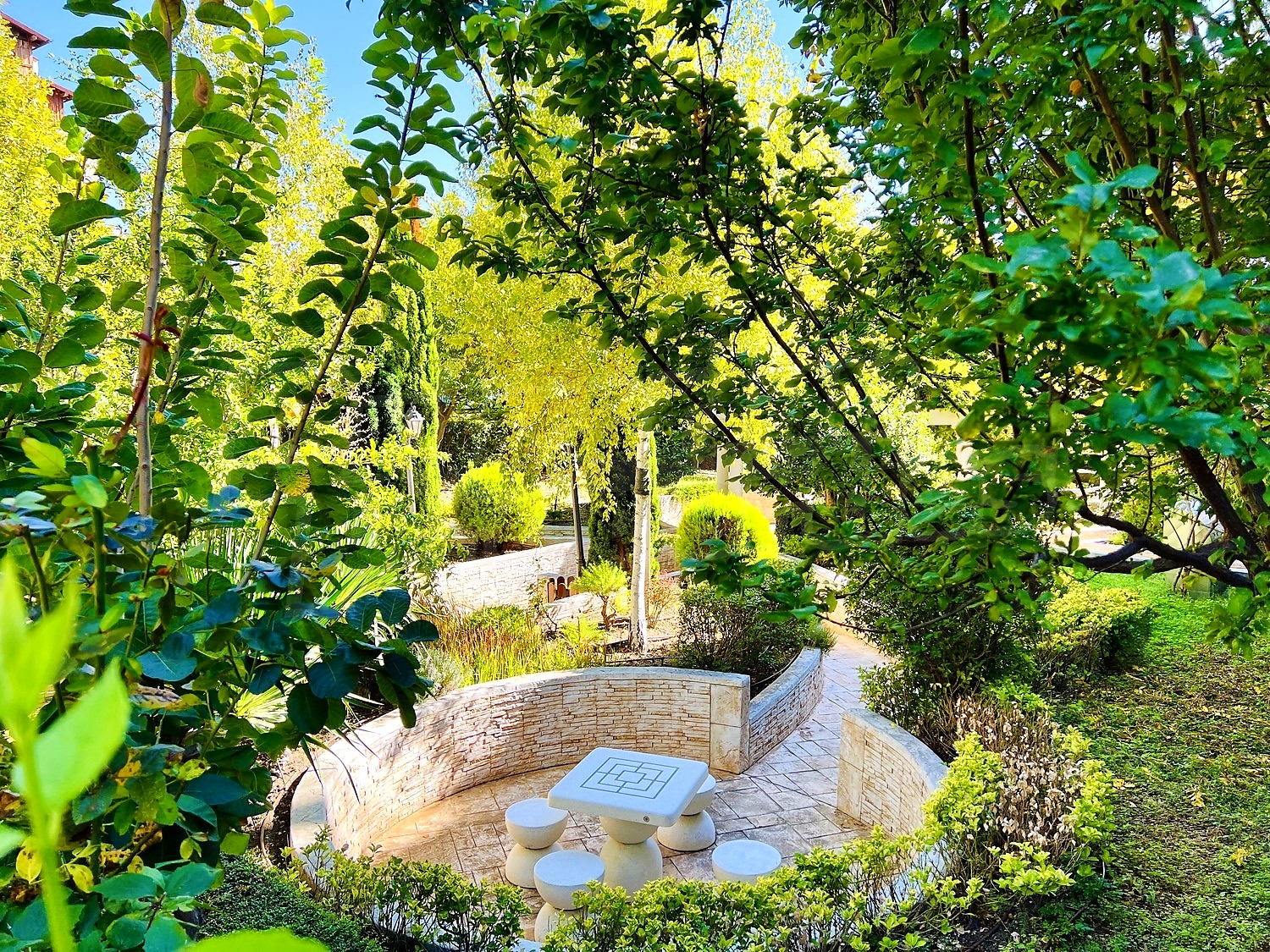 garden, outside, green area