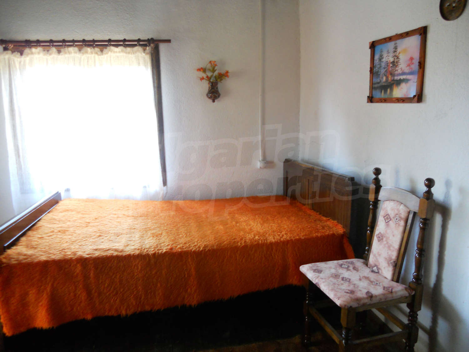 Gallery Picture 11