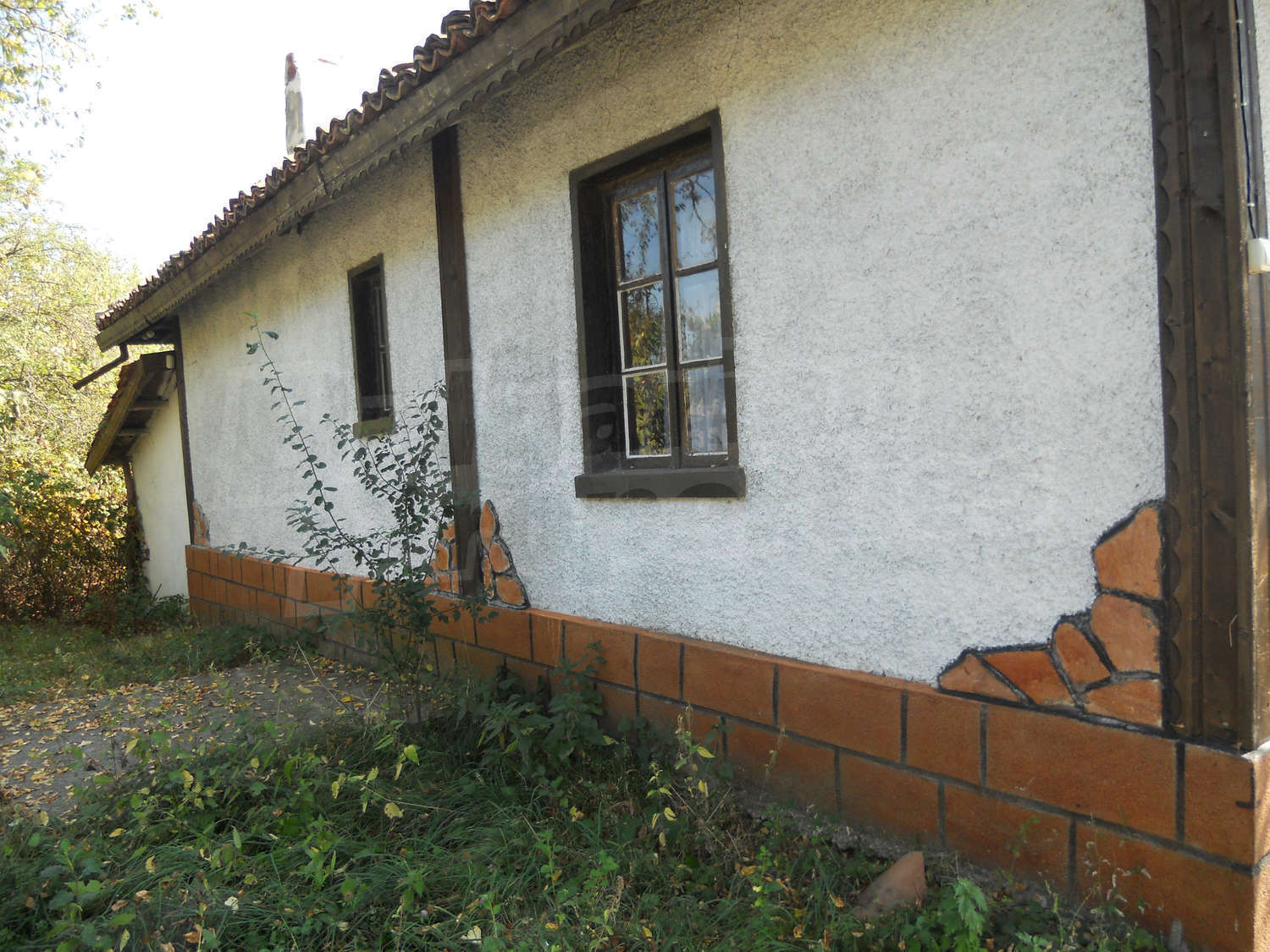 Gallery Picture 16